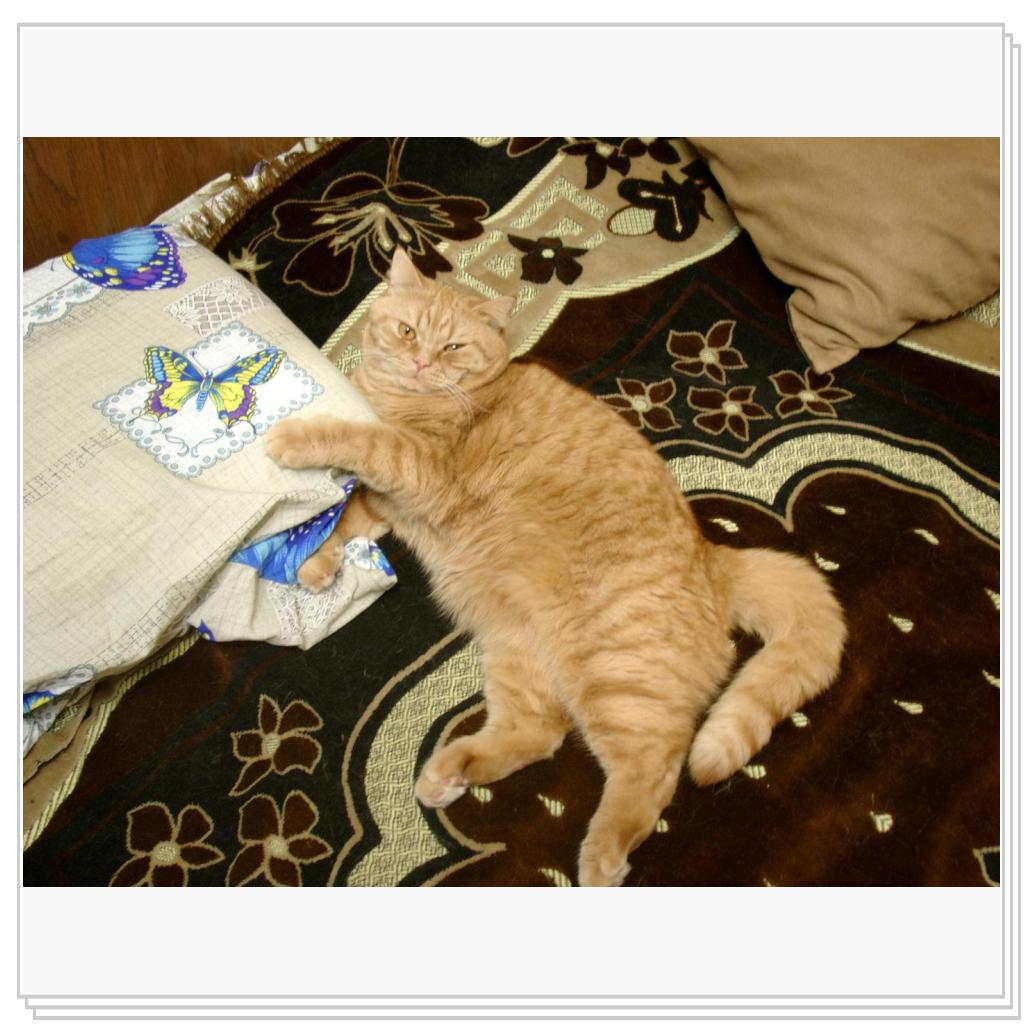 В обнимку с подушкой