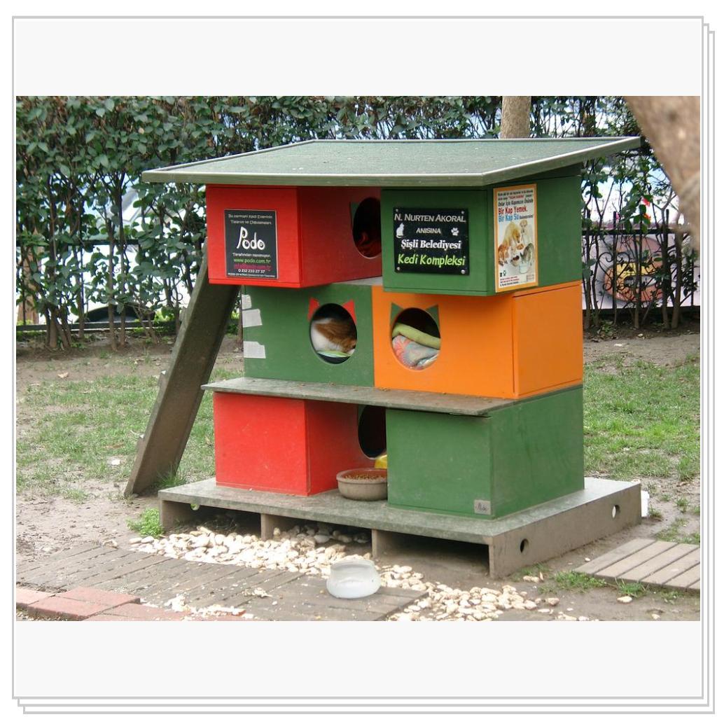 Кошки Турции