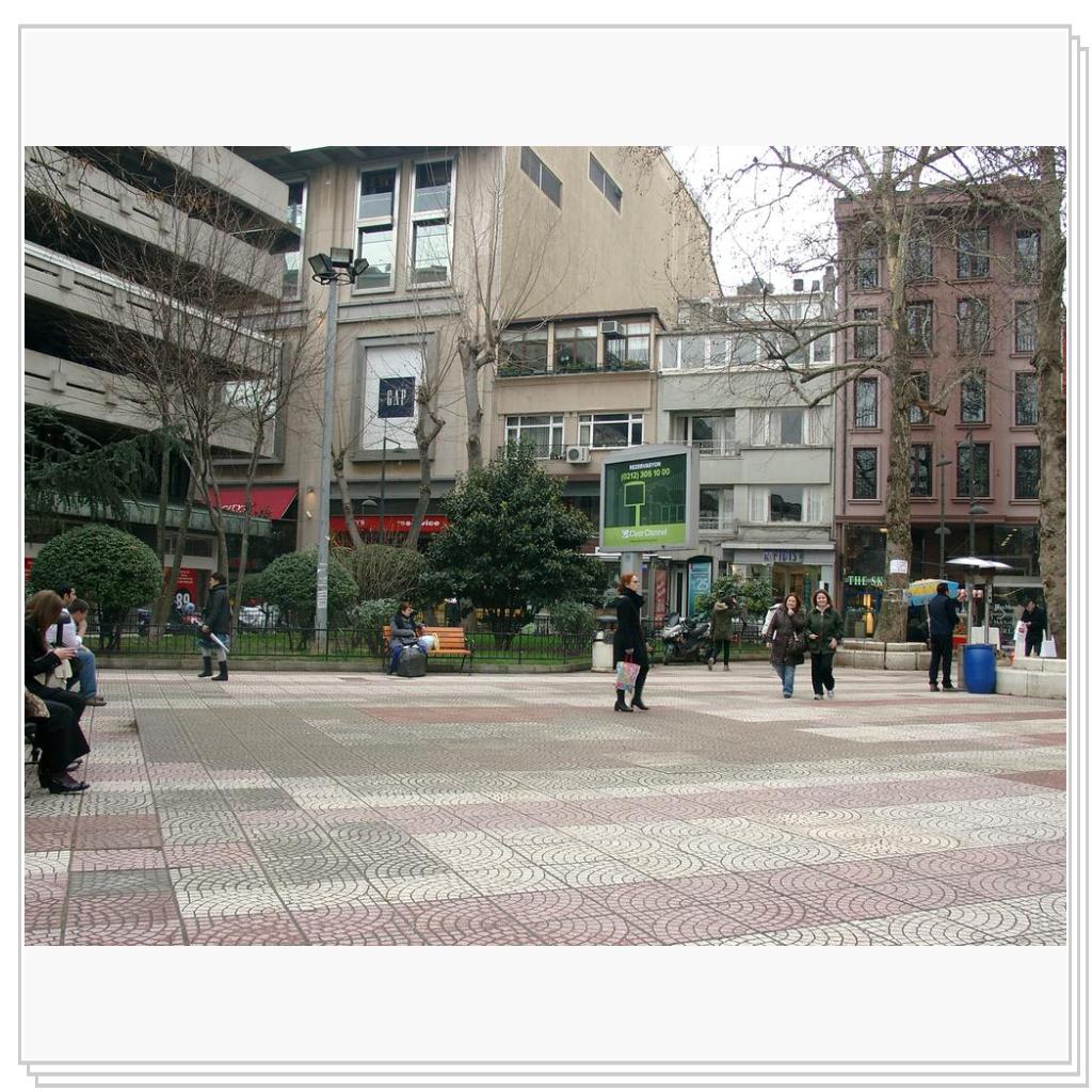 Кошки Турции