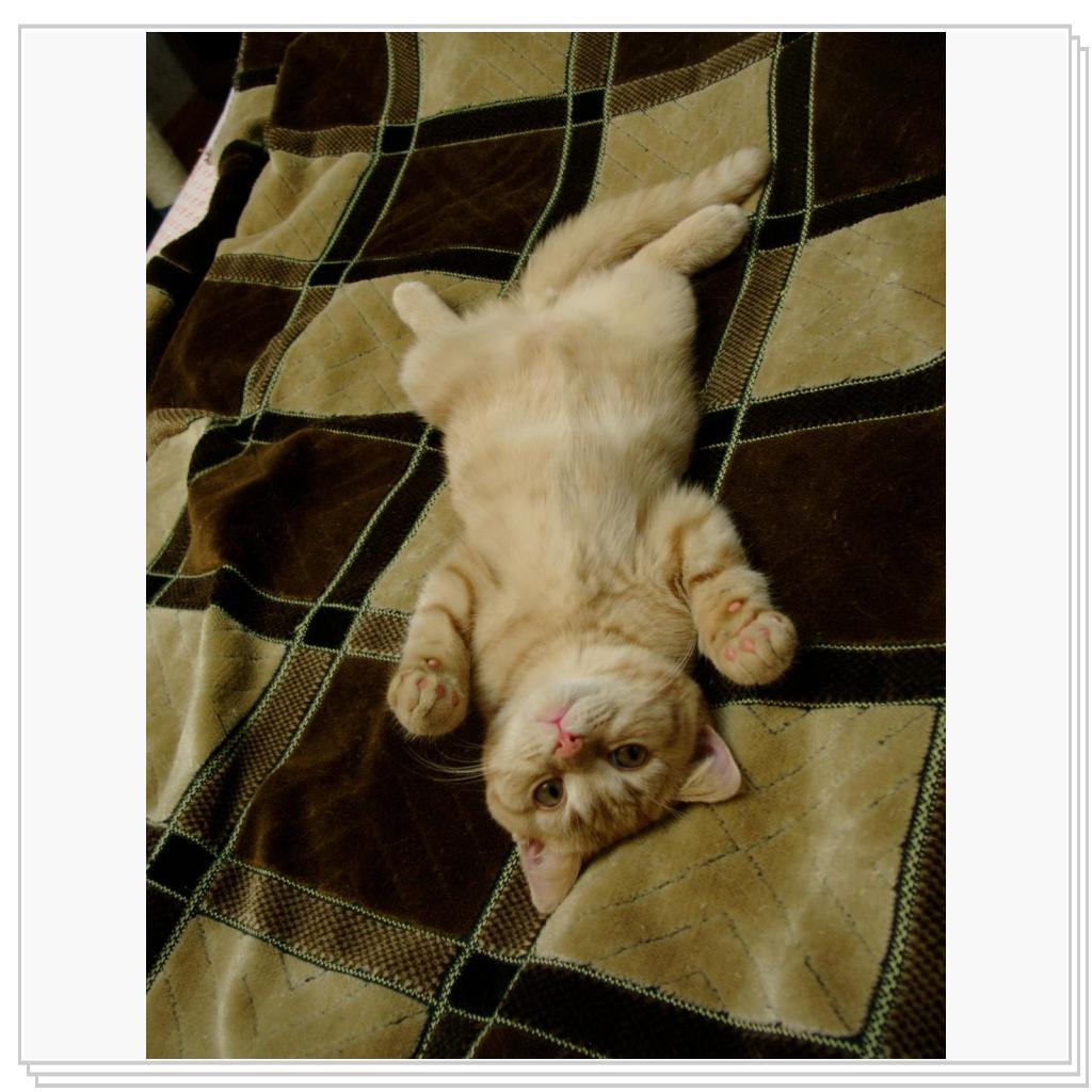 Балдежник (life is good)