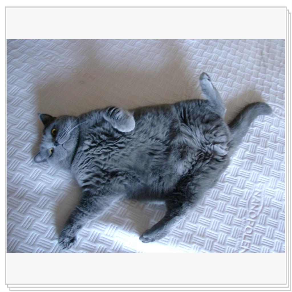 Как хорошо в квартире этой жить!