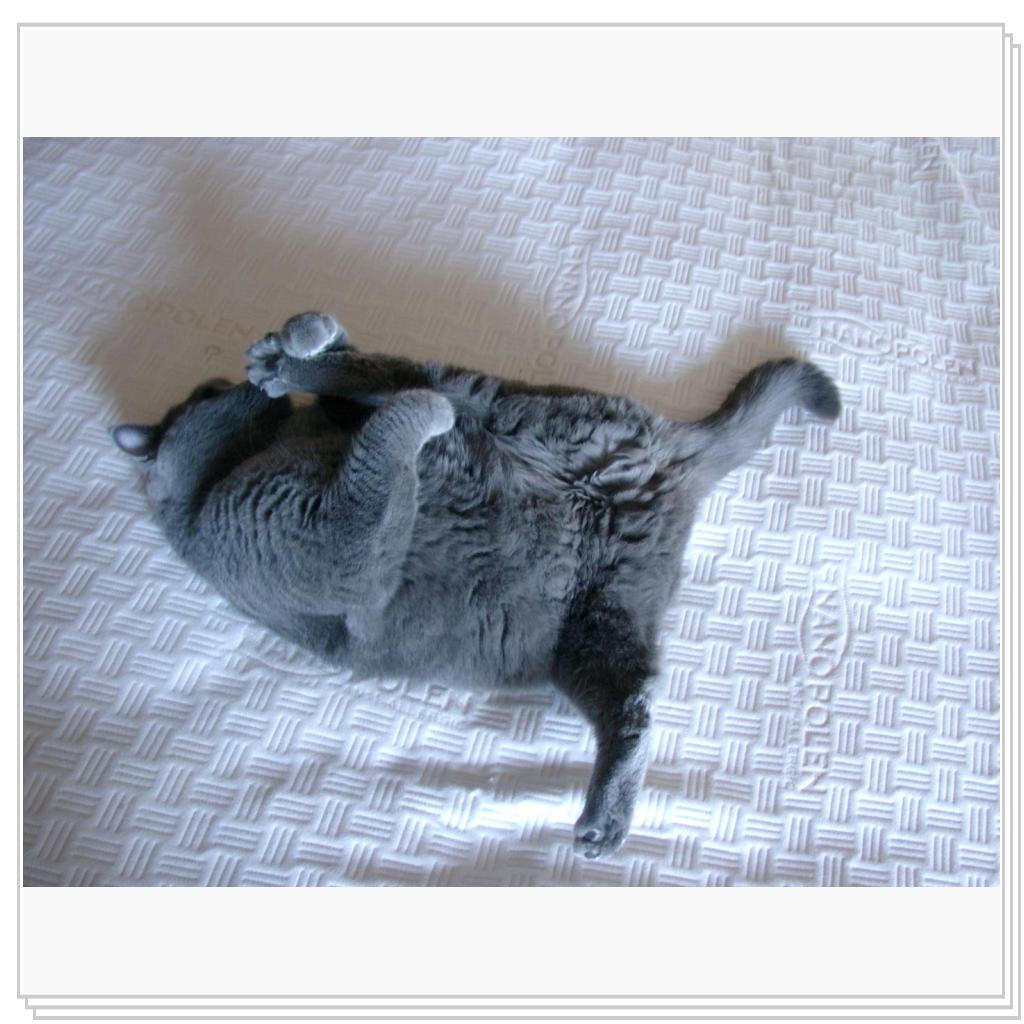 Вот какой я гибкий!