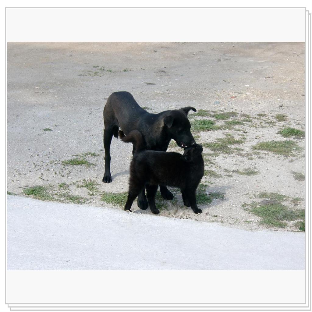 они даже похожи