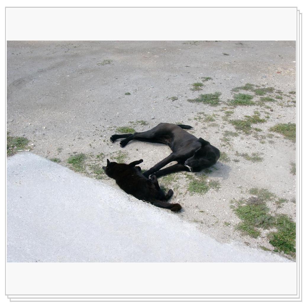 ладно, я тоже прилягу...