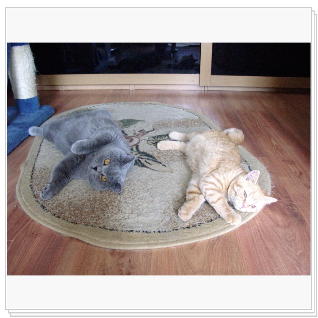 Хорошо вместе! (together)