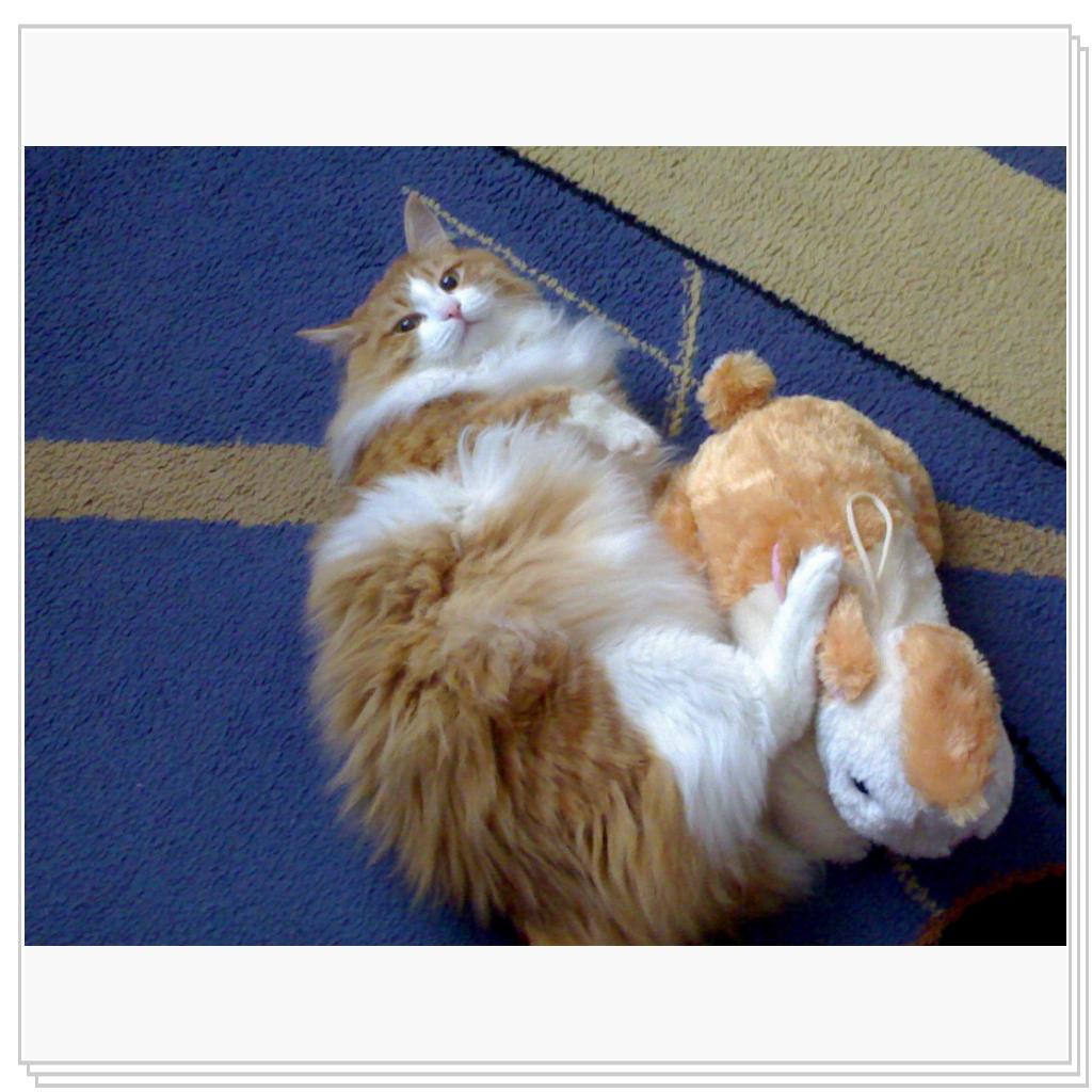 Мой котэ Вэлиодонс