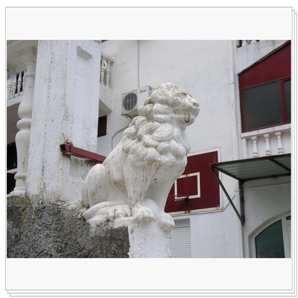 Кошки Черногории