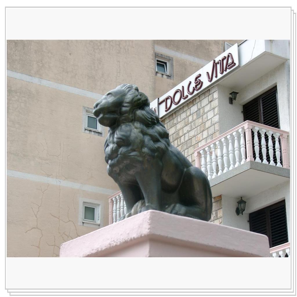 Кошки Черногории