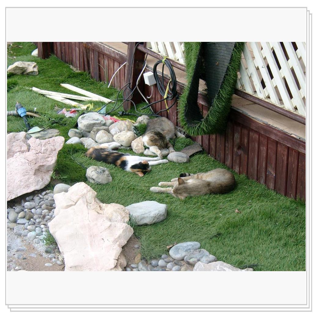 Возле кафешки, на набережной. Здесь и вода и еда.