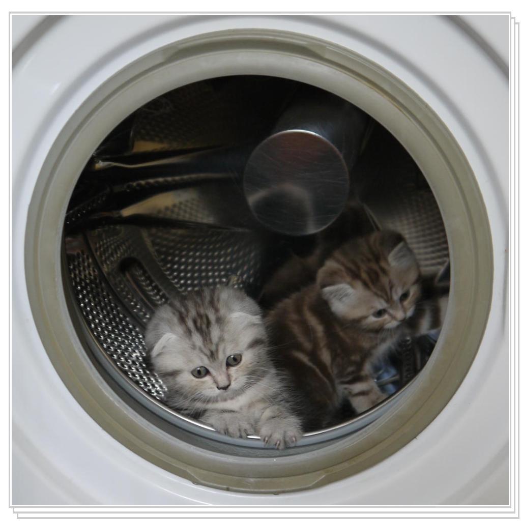 Наше потомство