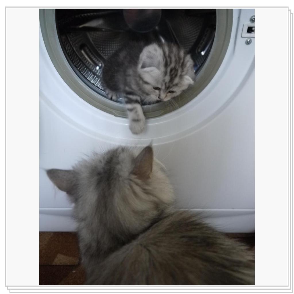 Ириса - мама