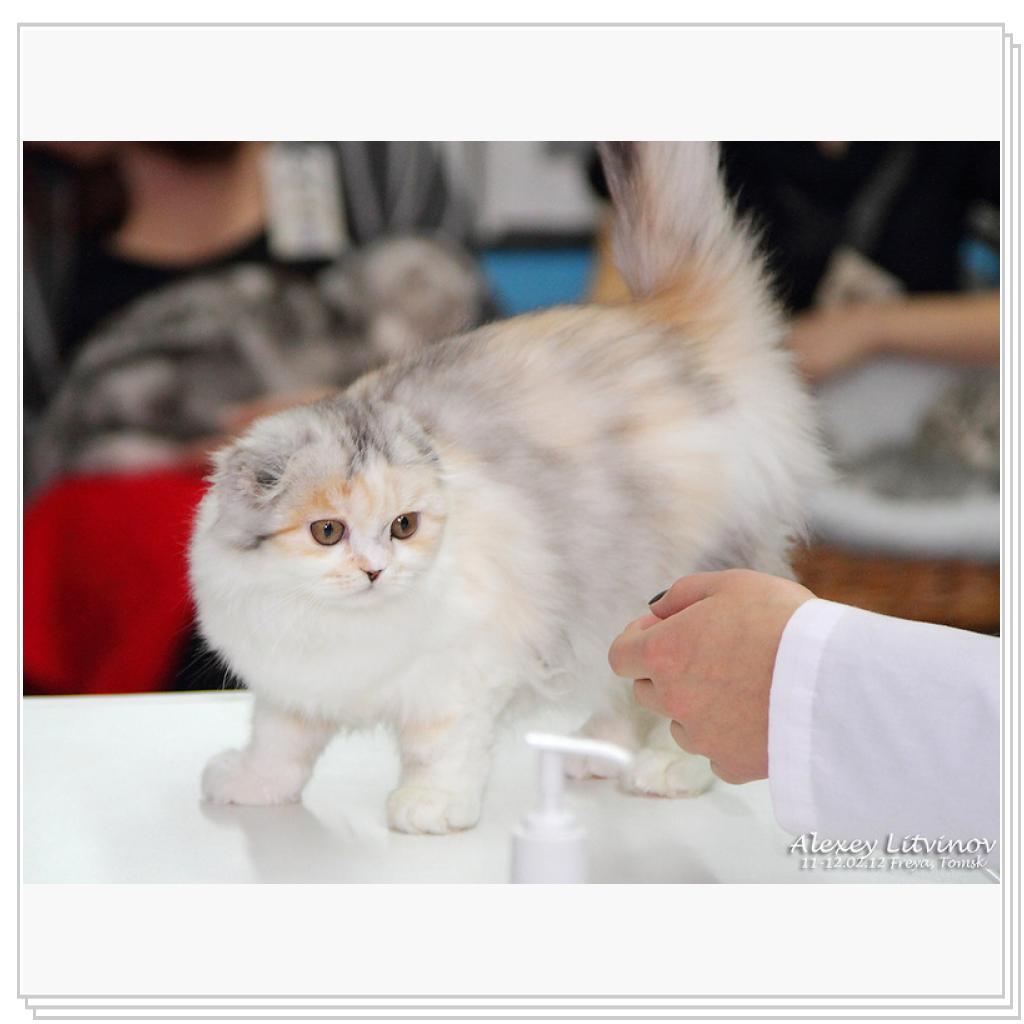 Питомник MIRANIS!