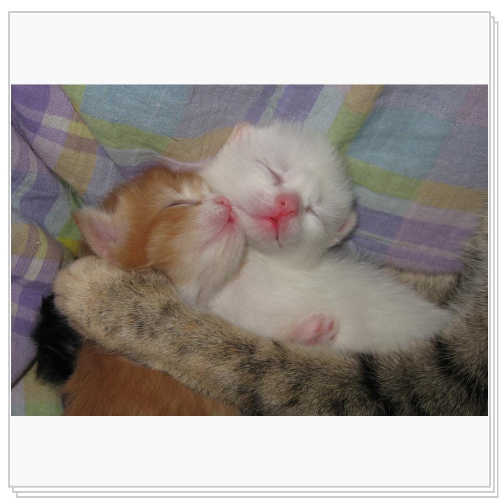 Сладкая парочка