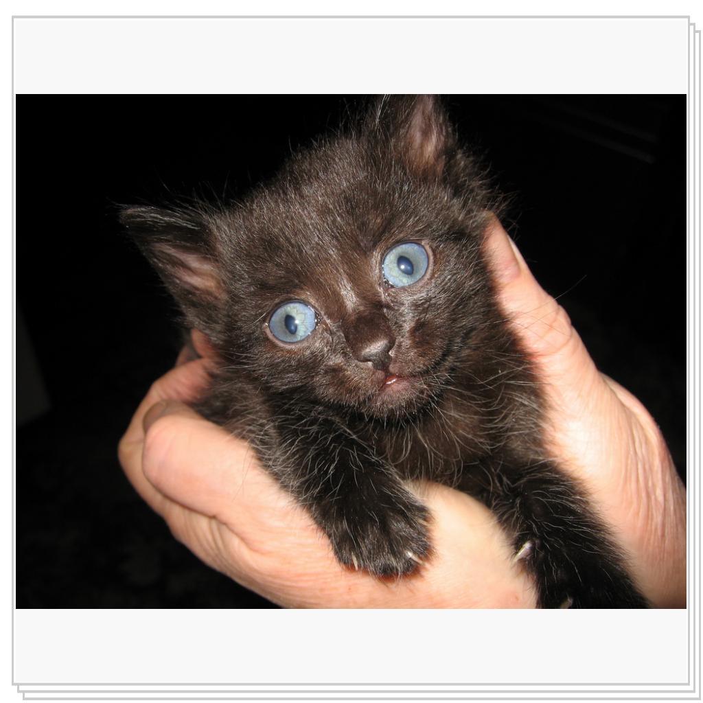 А в глазах васильки