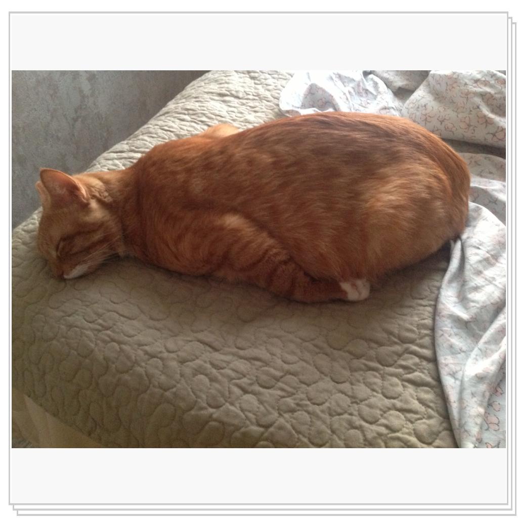 Вот такая вот поза, как прыгал, так и уснул