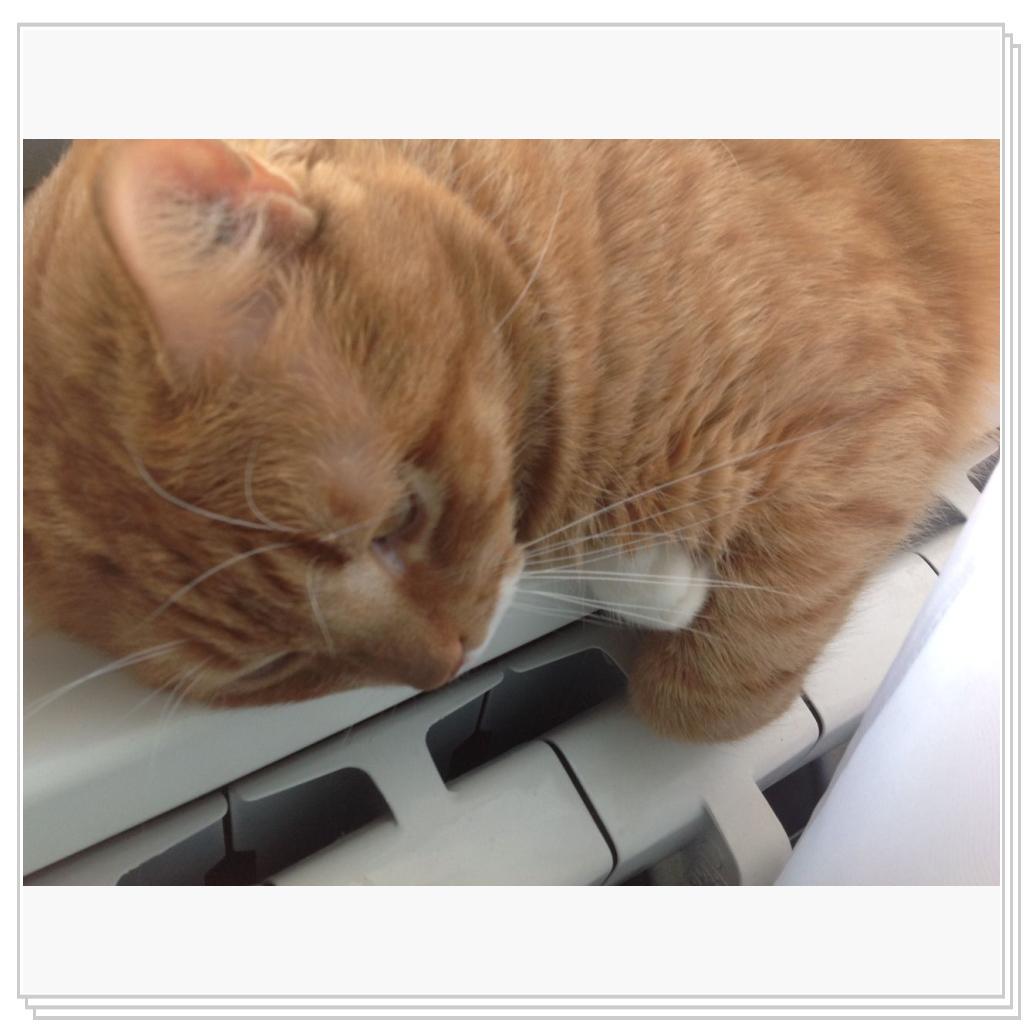 Рыженький))