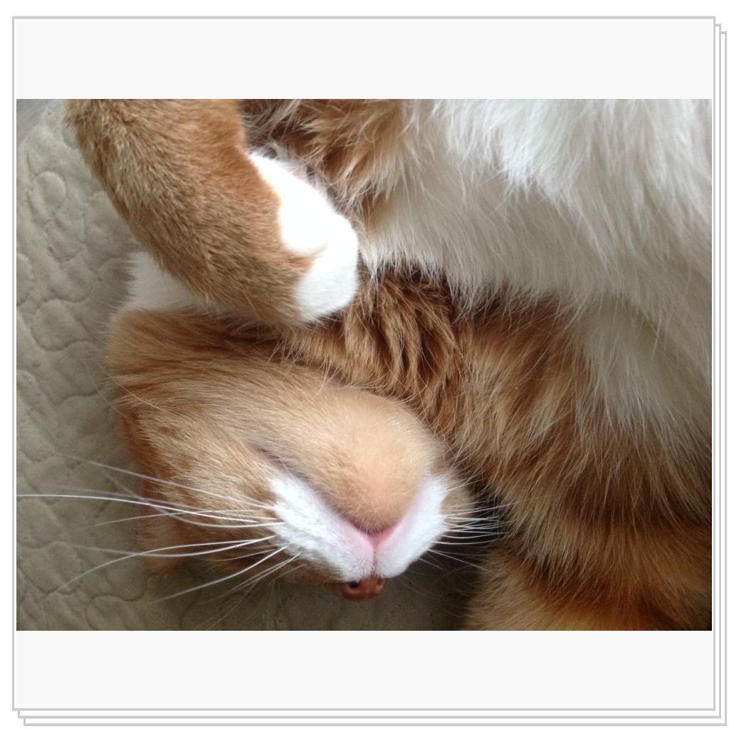 так мы отдыхаем и балдежничаем