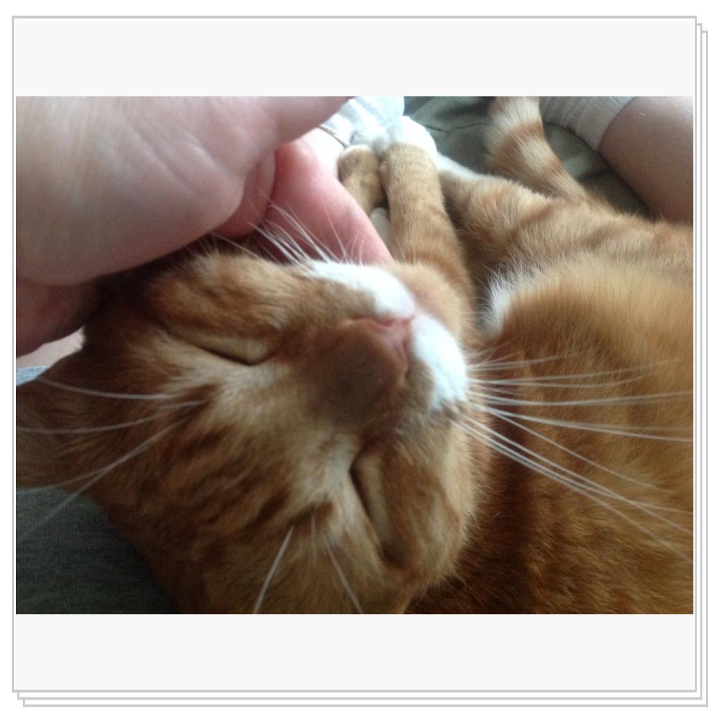 Чешите меня, чешите)))