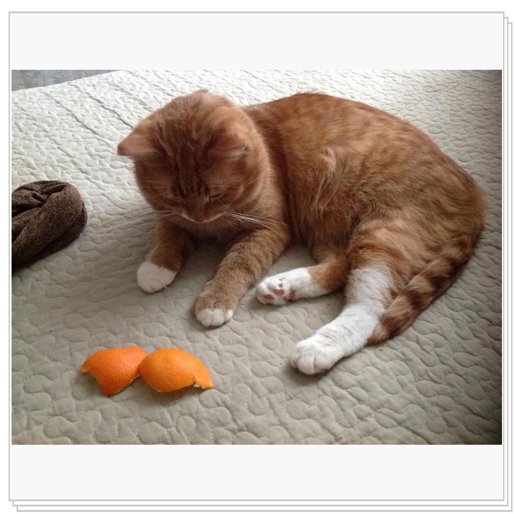 Мандарин...фи..