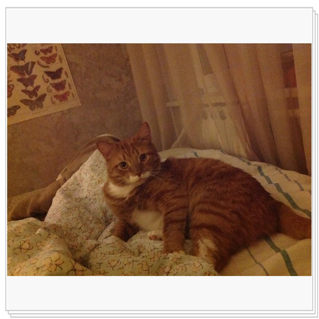 Узнали? это я-Рыжевский!