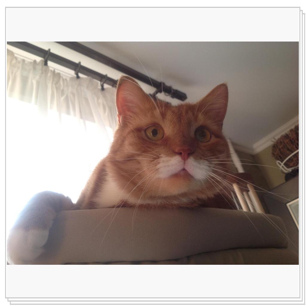 высоко сижу..