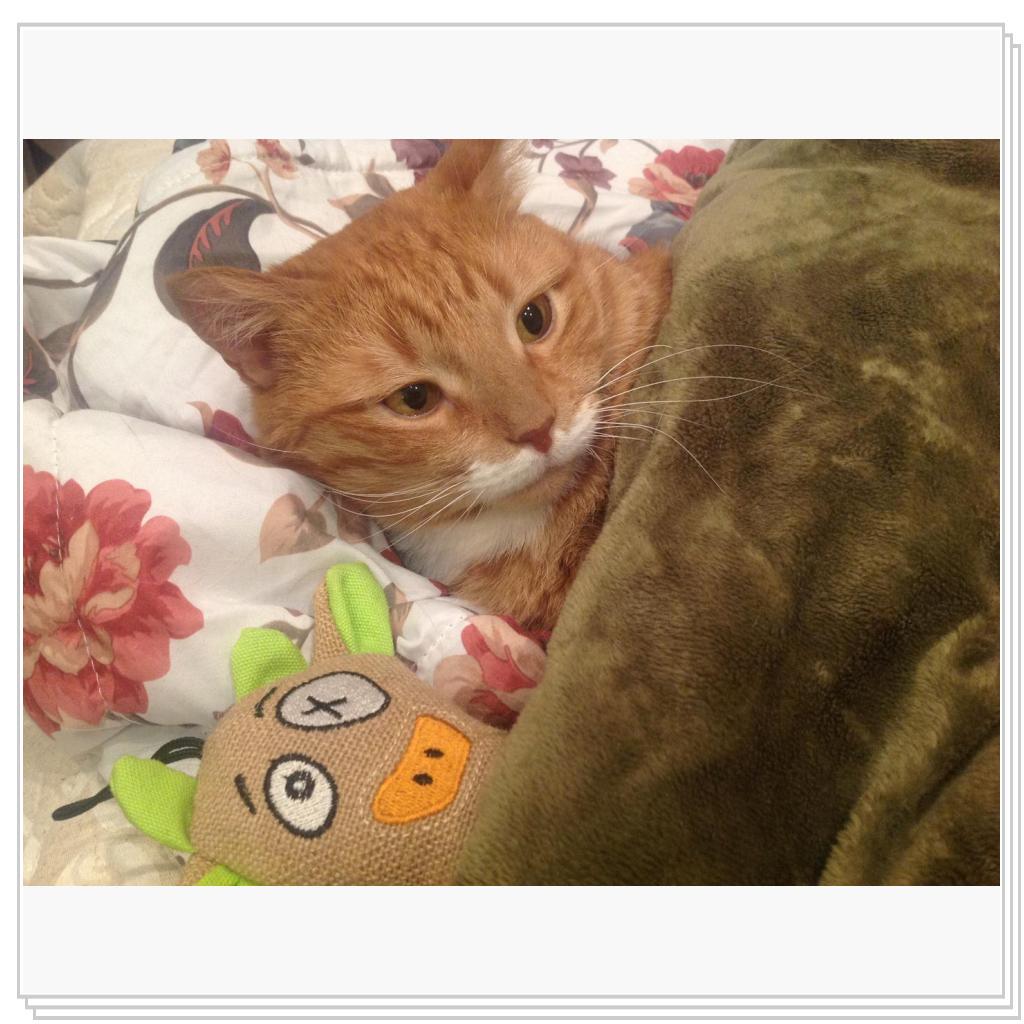 жизнь барина