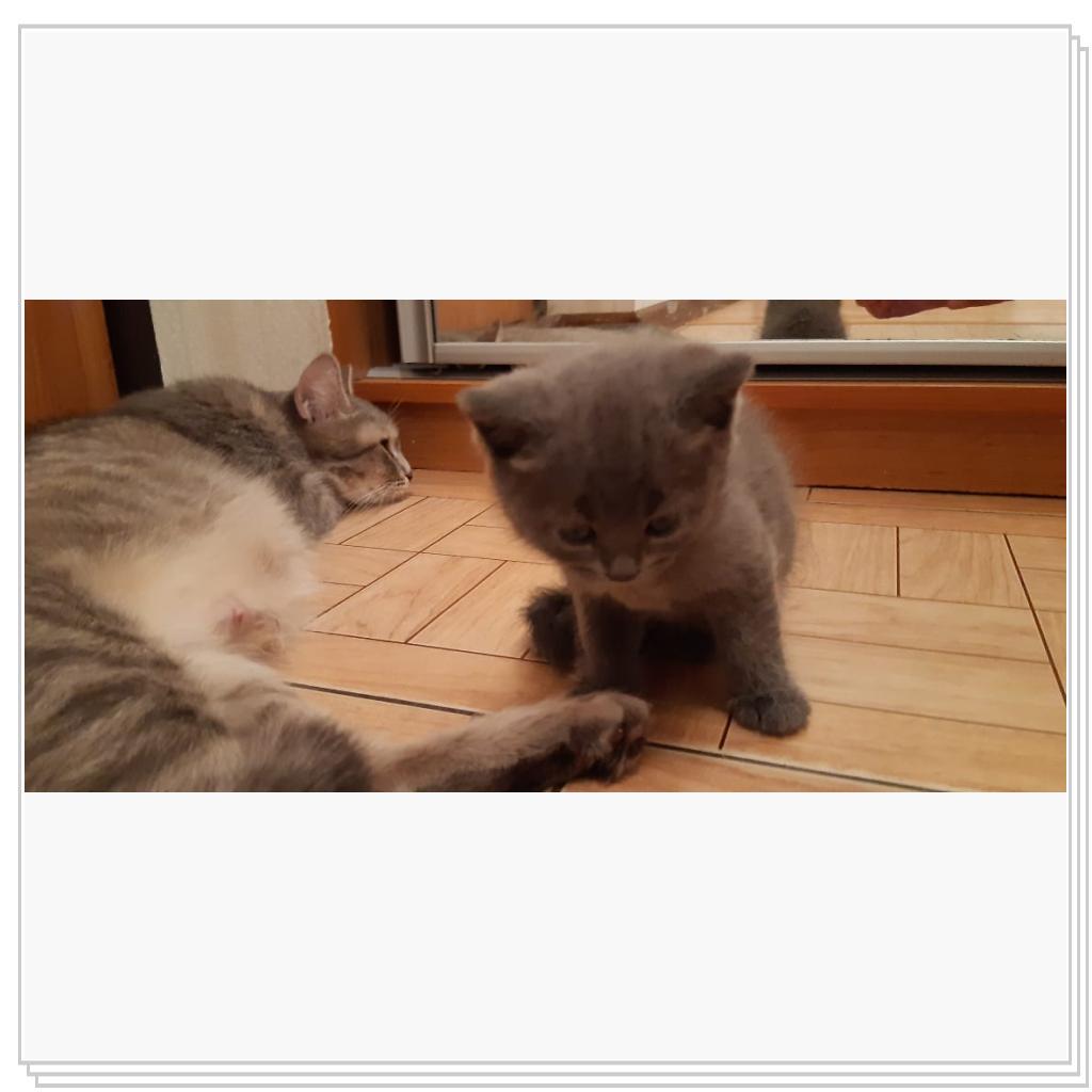 Марсик с мамочкой