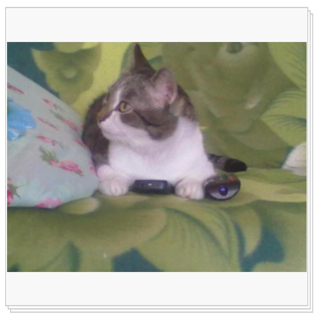 Барсик Хранитель Телефона