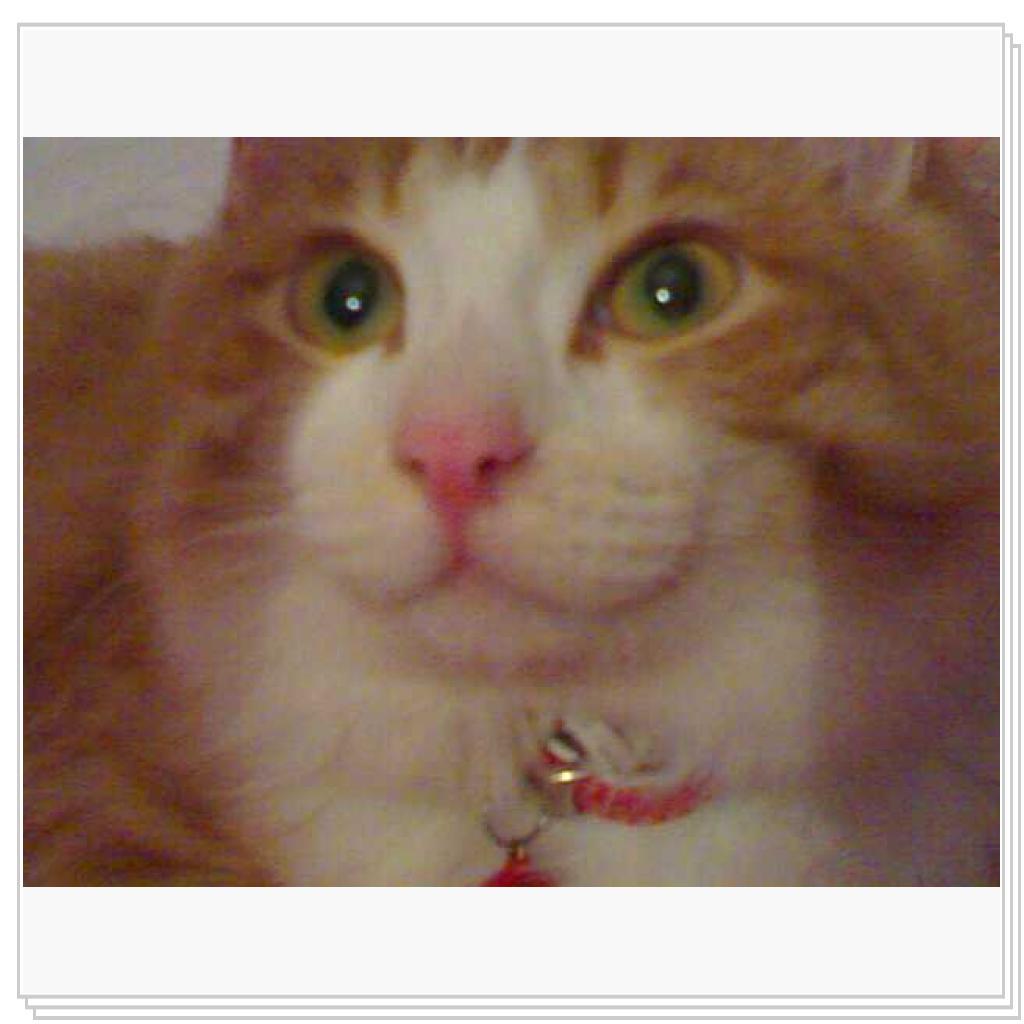 Мой котэ Вэлиодонс