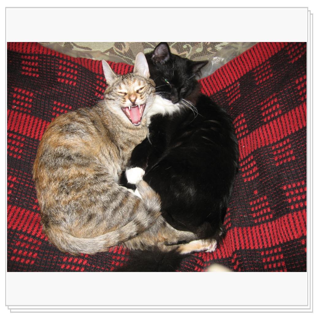 Милый, улыбайся, нас снимают! ))