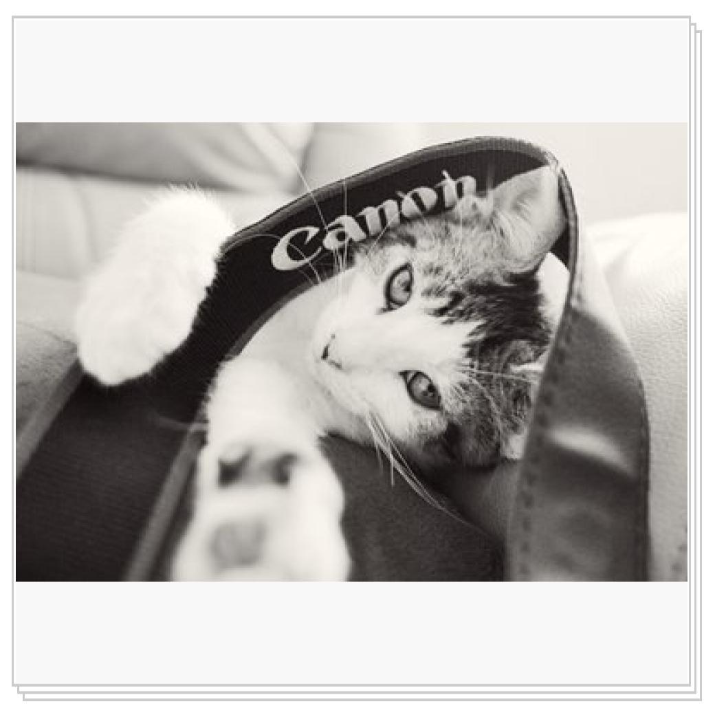 А я думала где мой фотик