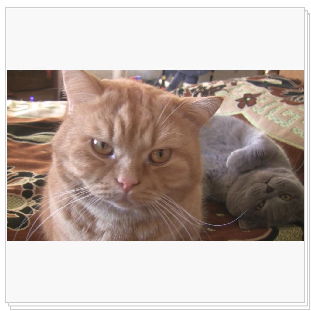 Кто на Рыжего?