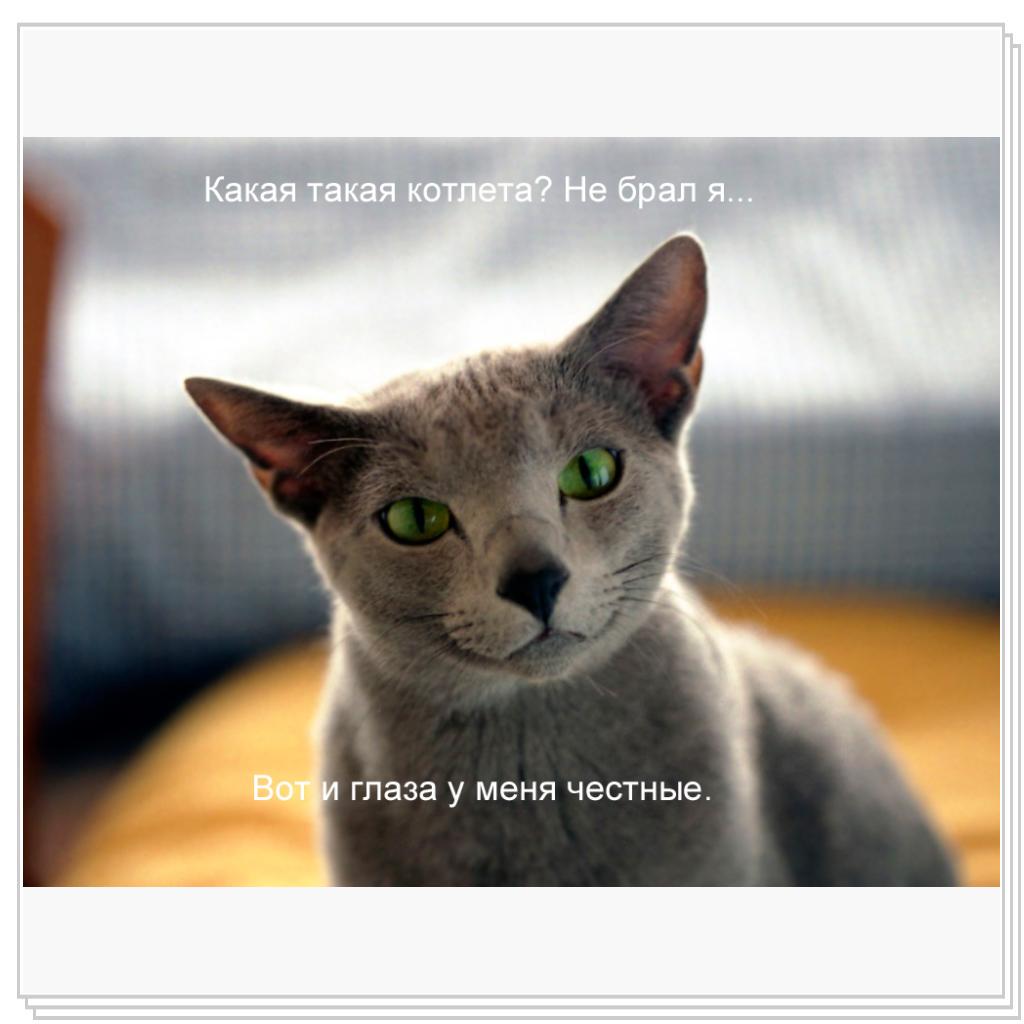 Ну чего вам надо,а?)))