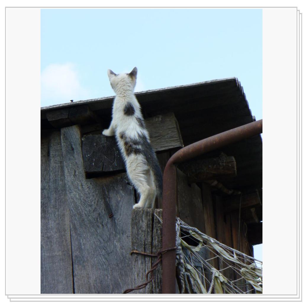 Что там, за краем земли?...