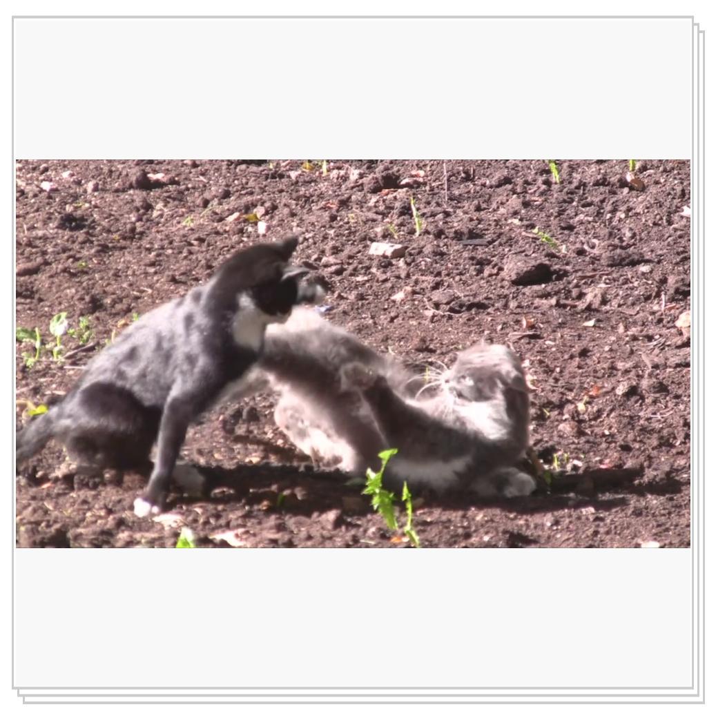 Выяснение отношений