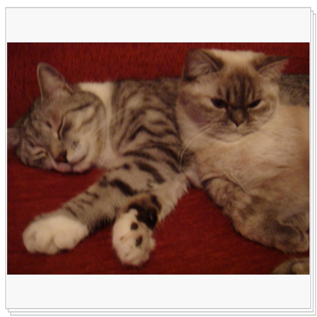 Какая красивая пара!)))