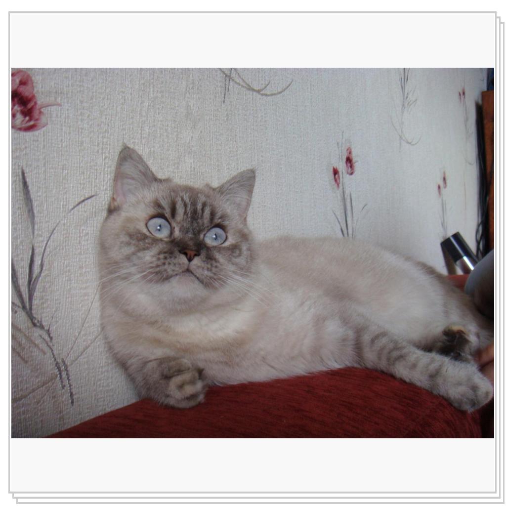 Мотя, Мотильда..