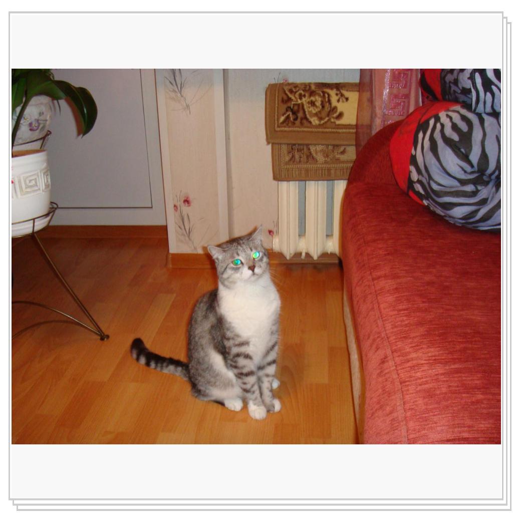 Лео - само очарование