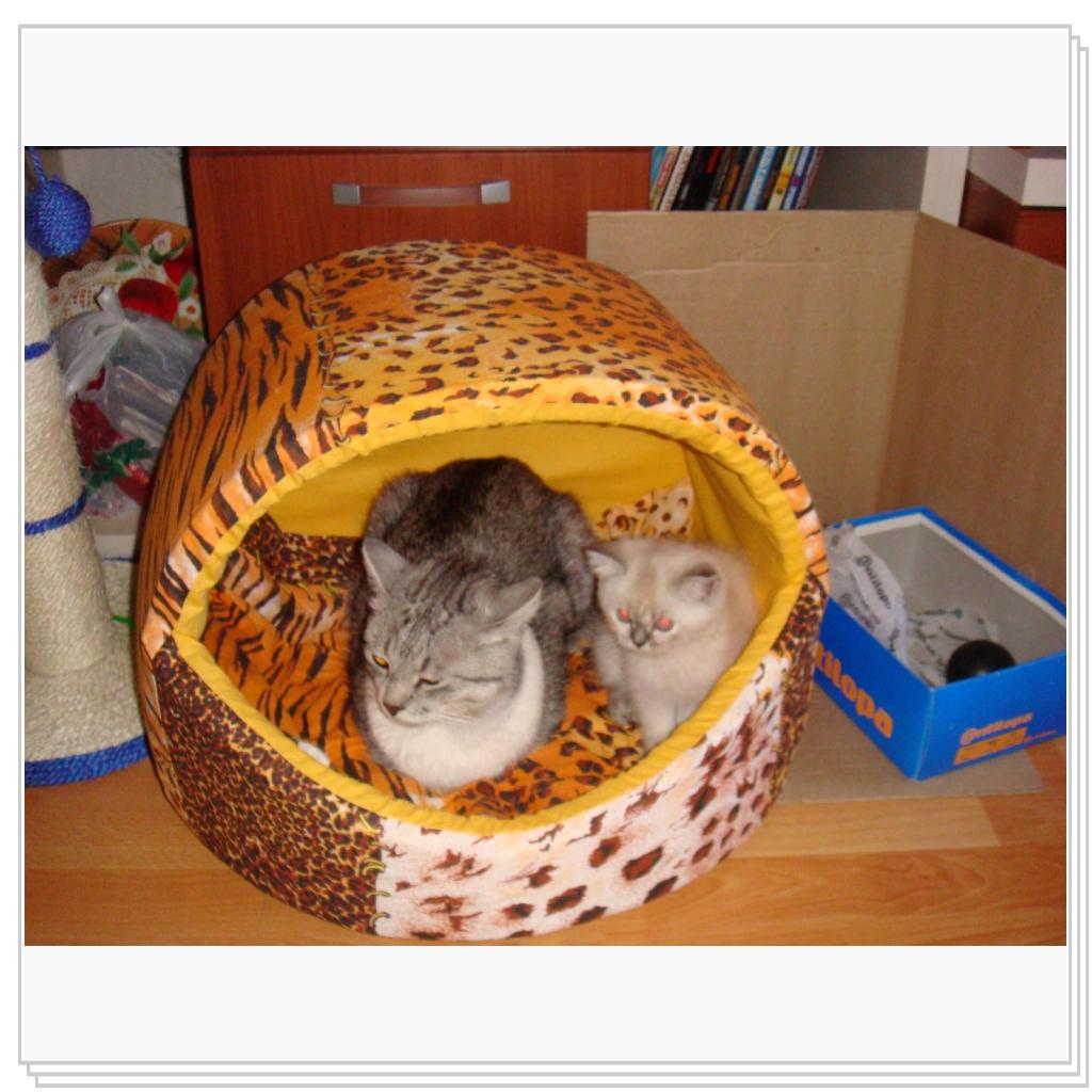 Как положено друзьям, все мы делим пополам)))