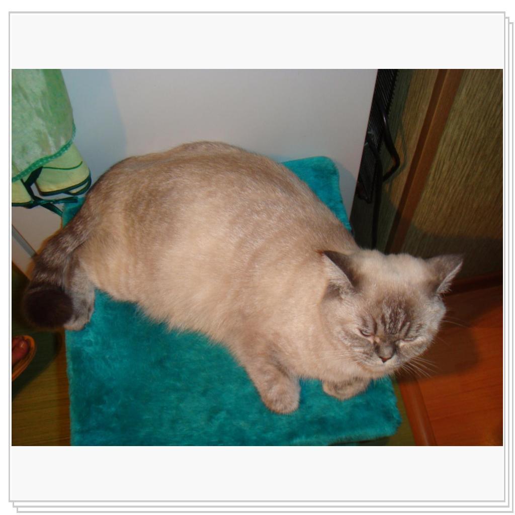 Мотя ждет деток