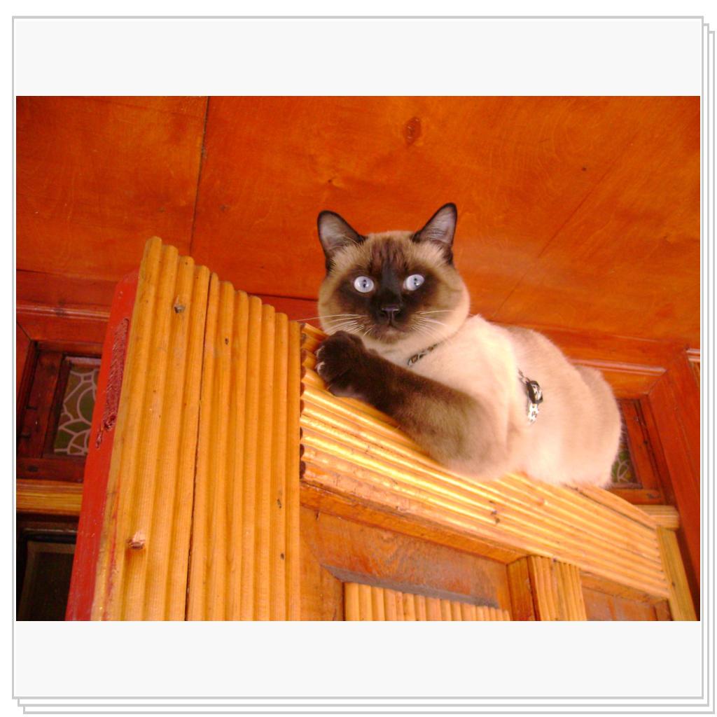 мне сверху видно всё....