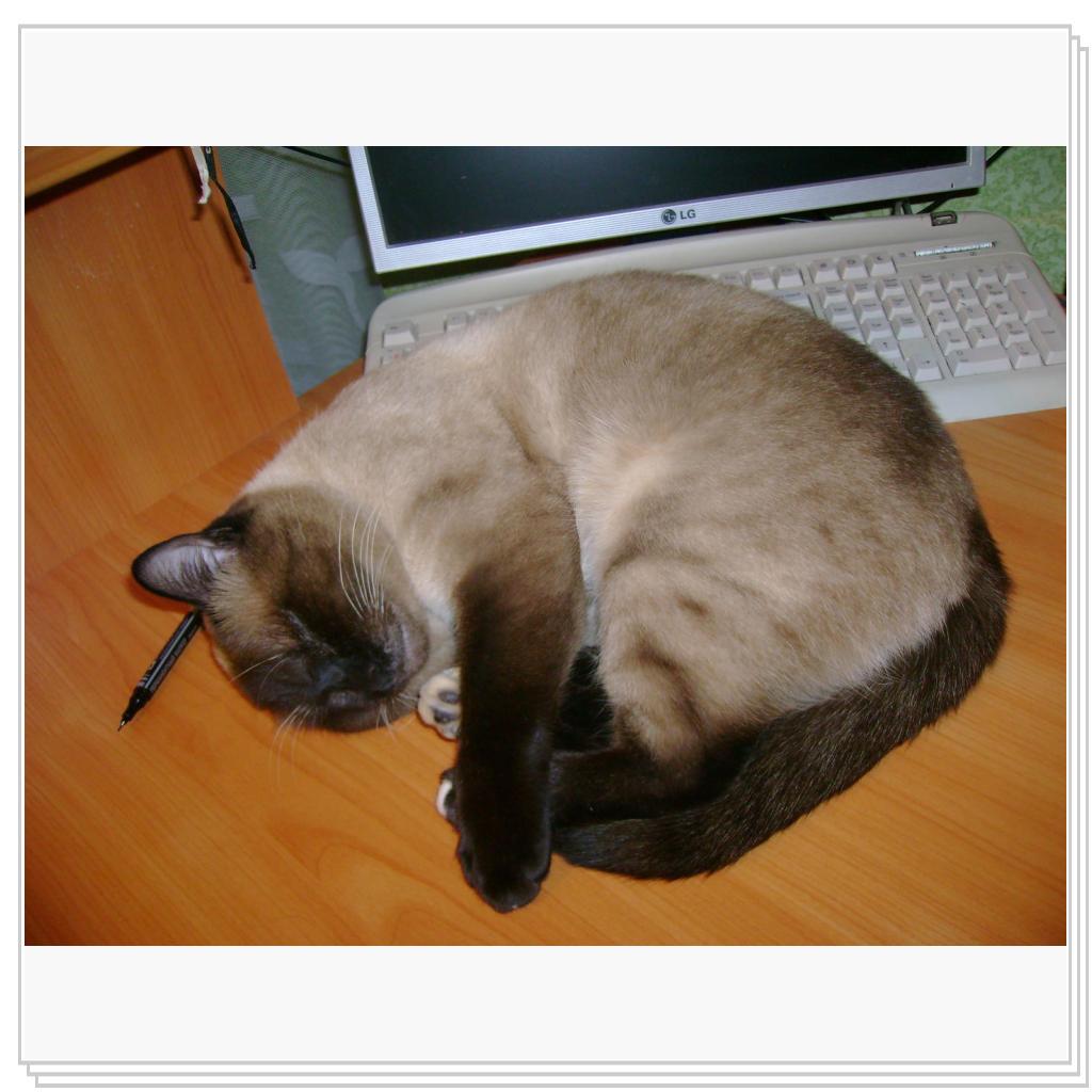 "отсыпушки" после свиданий