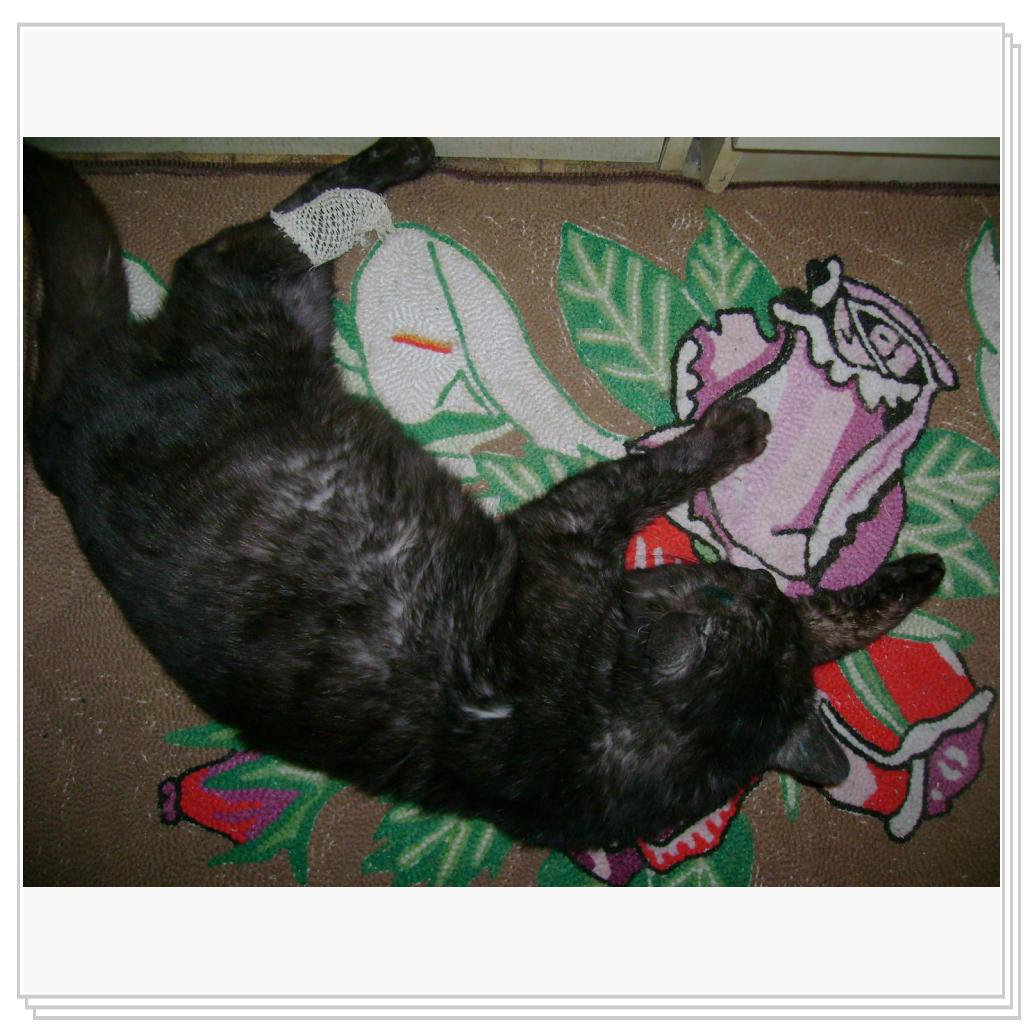 раненый боец любовного фронта:)))