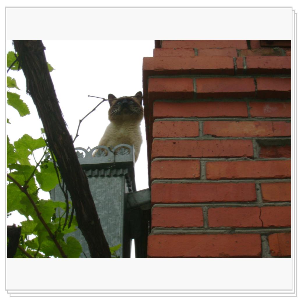 мысли о высоком...