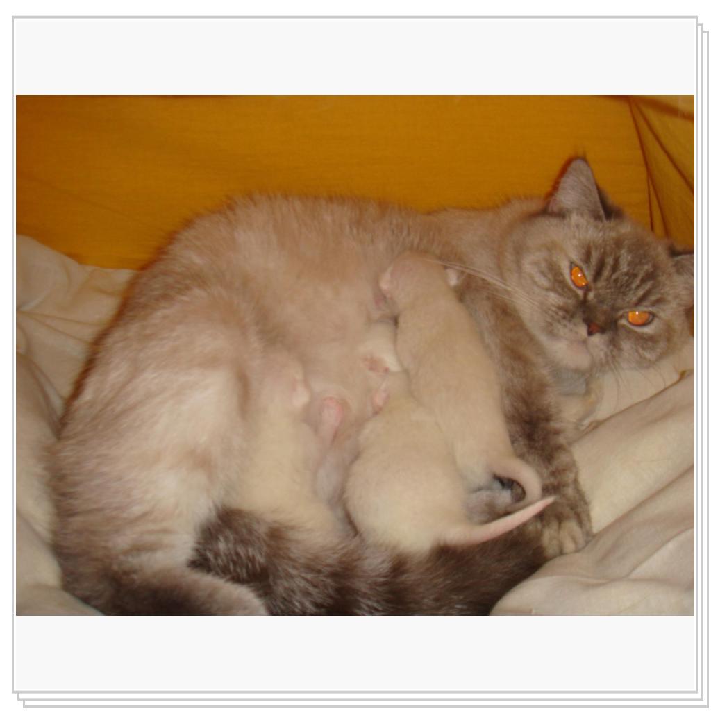 Умильно и трогательно