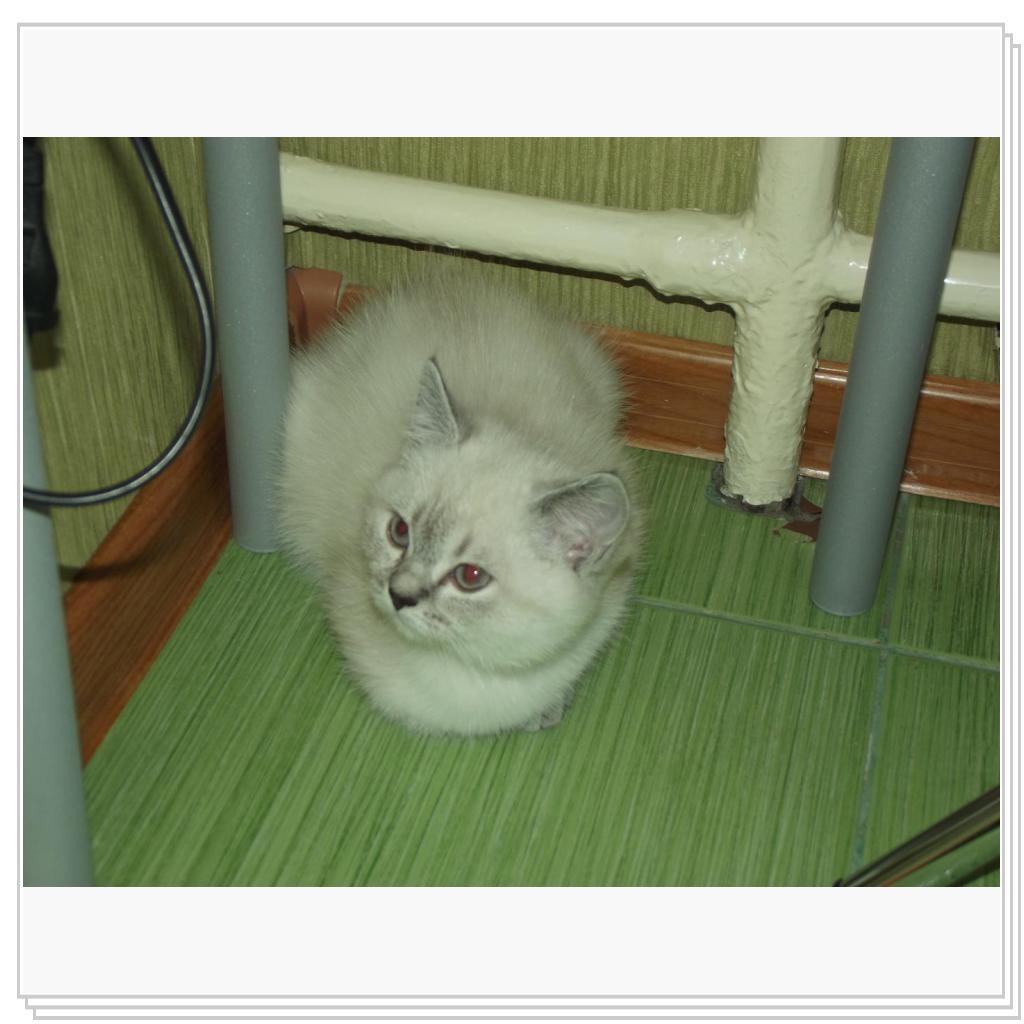 Умка- дочка Моти