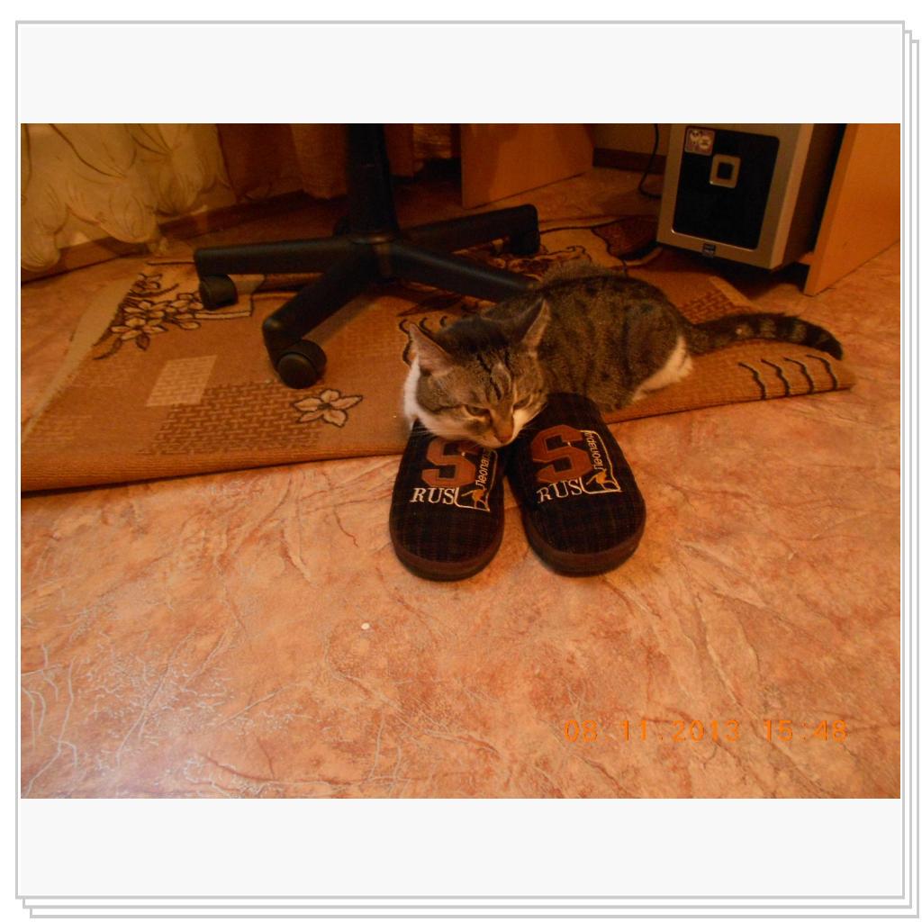 Барсик в тапочках