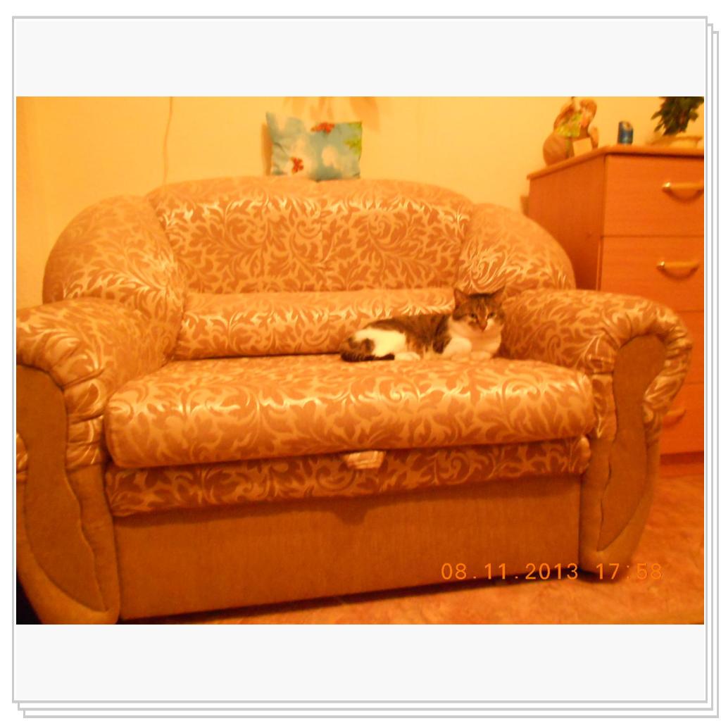 Барсик на кресле