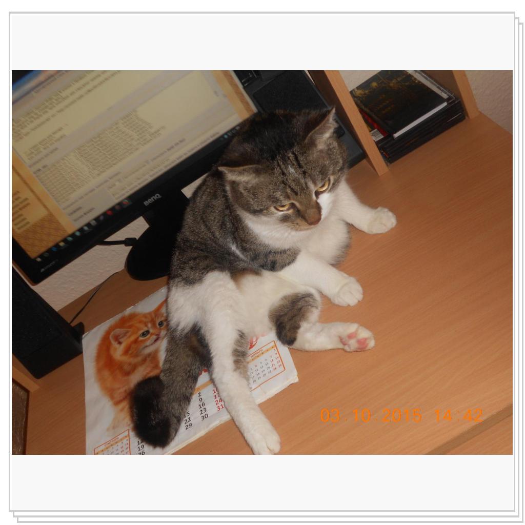 Один из команды блога моего.