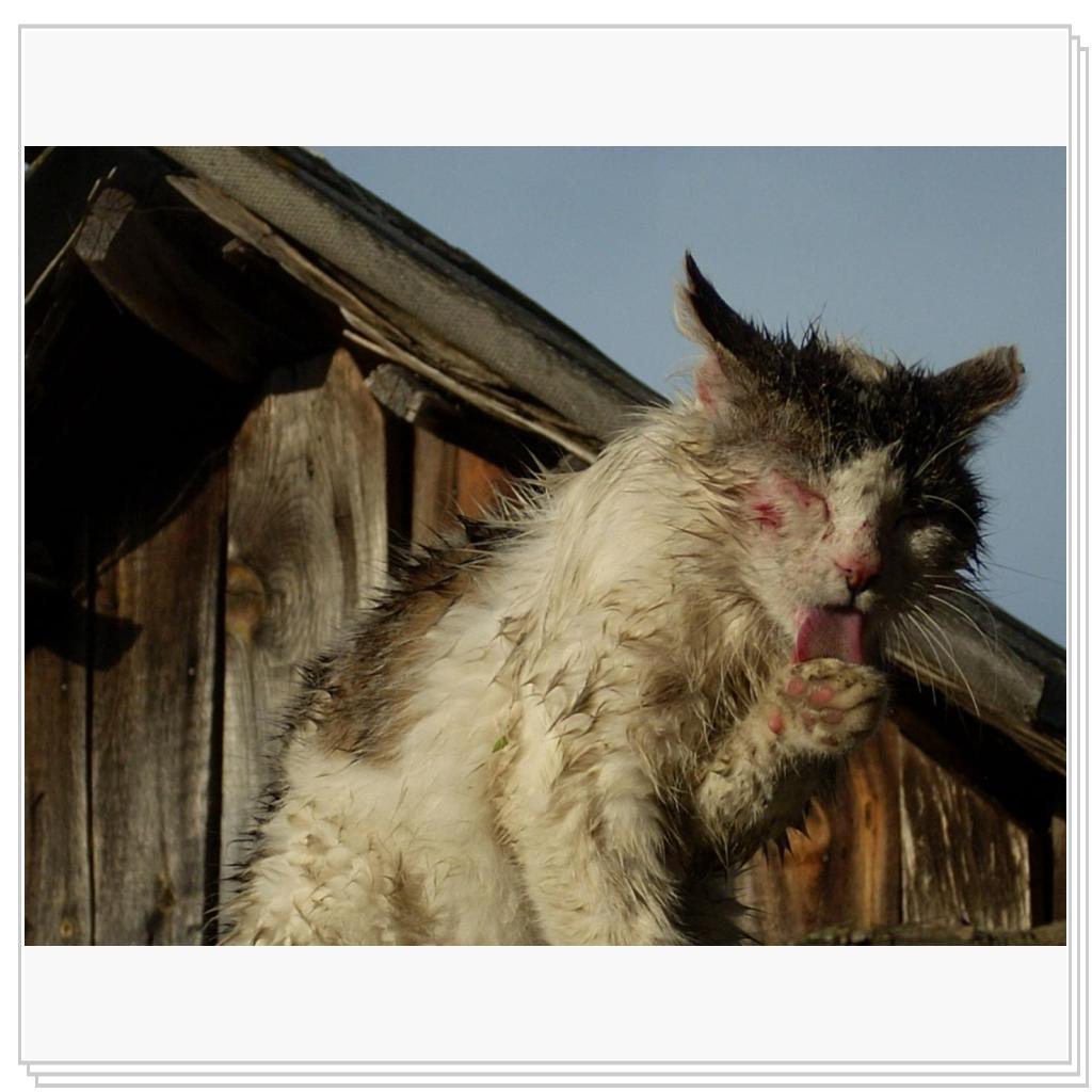 Март удался...